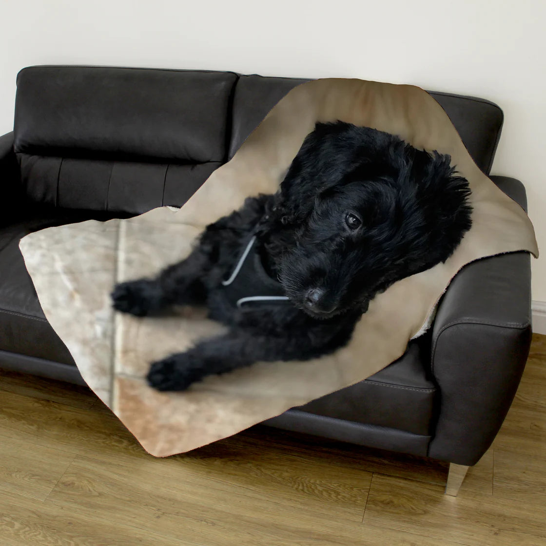 Single Photo Upload Blanket Pets - Custom Gifts