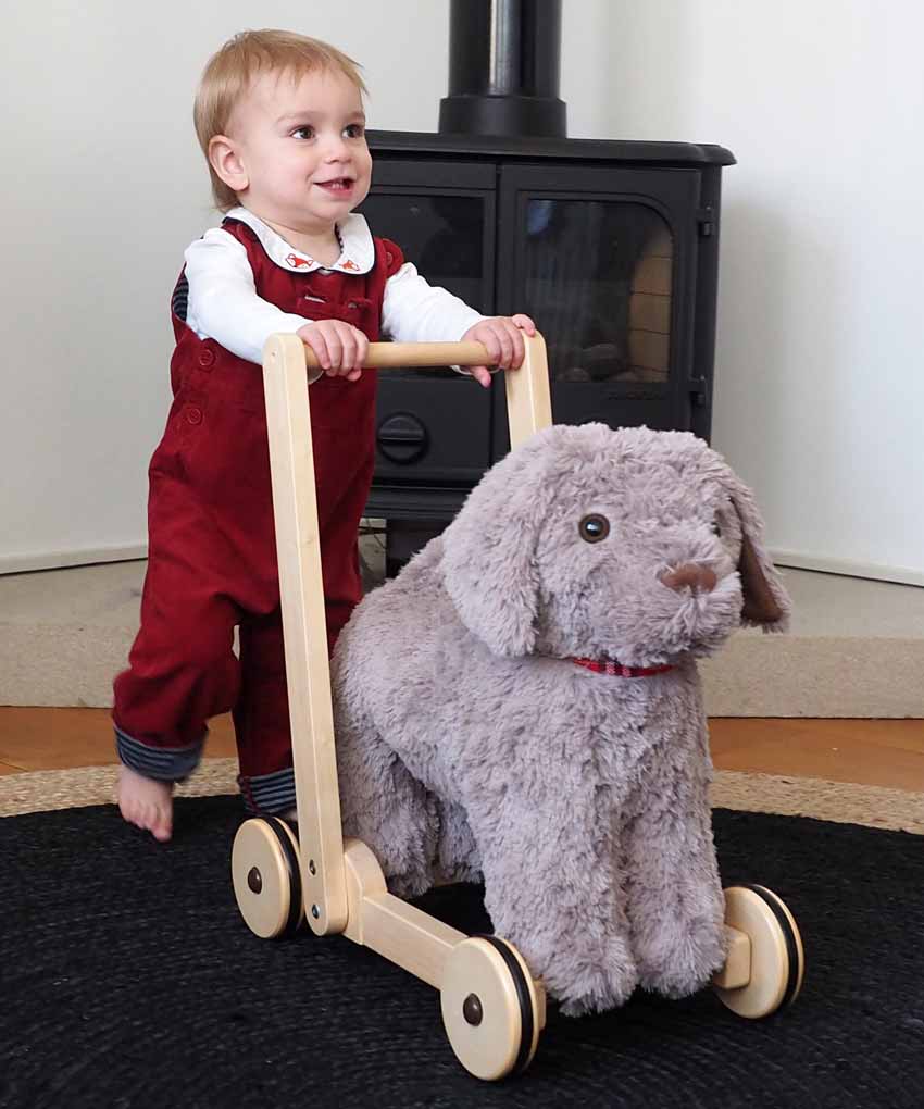 Bailey Dog Push Along Toy (12 Months+) - Little Bird Told Me - Custom Gifts 