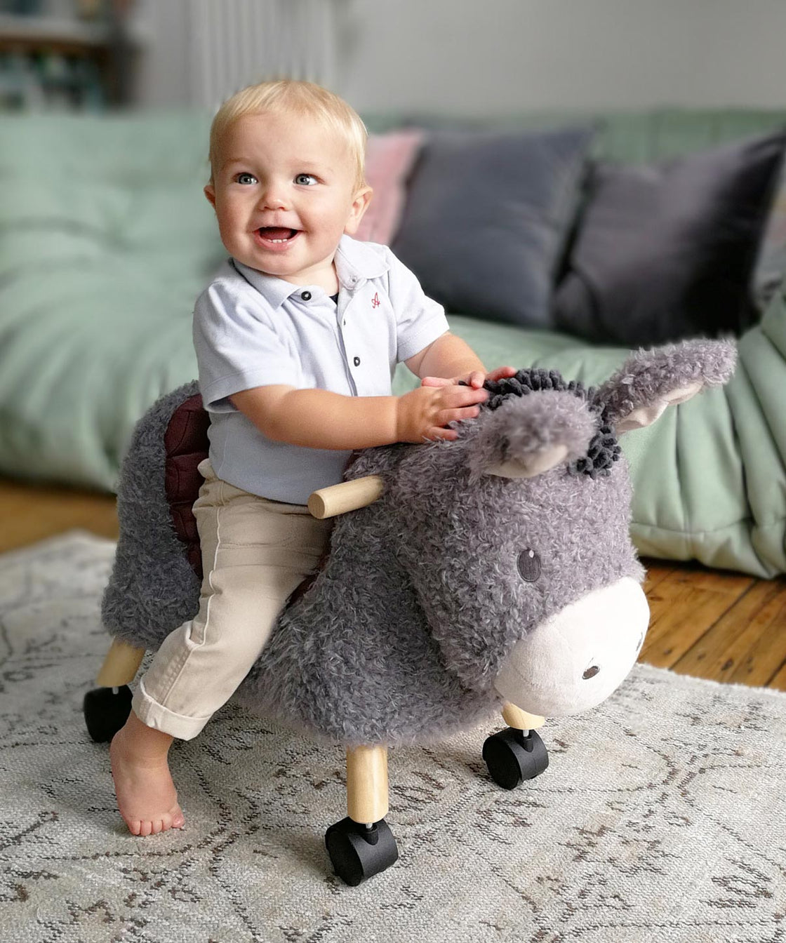 Bojangles Donkey Ride on Toy (12 Months+) - Little Bird Told Me - Custom Gifts 