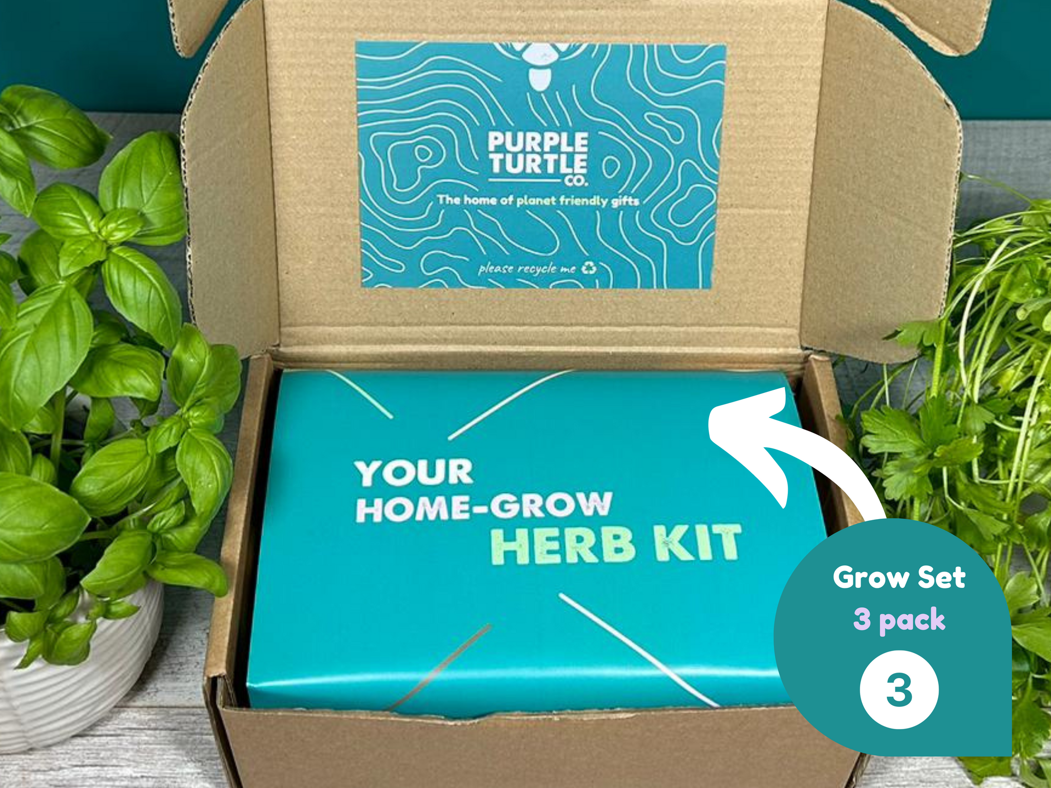 Grow Your Own Herbs Gift Set