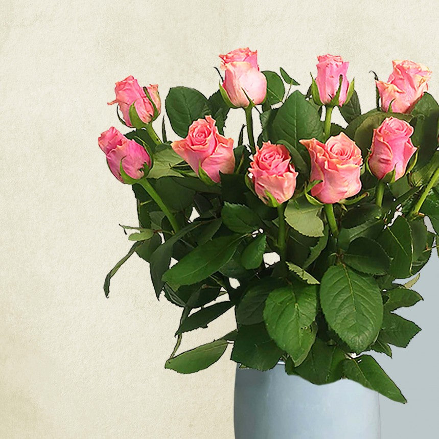 Just Roses - Pink