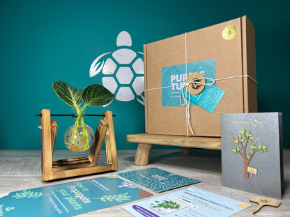 Plant Propagation Gift Set #2