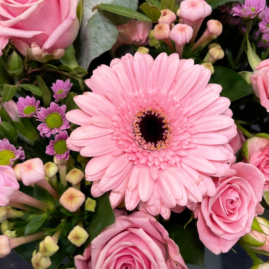 Pink Perfection Hand-Tied