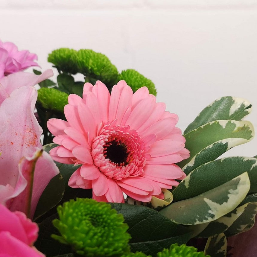 Pink Simplicity Hand-Tied