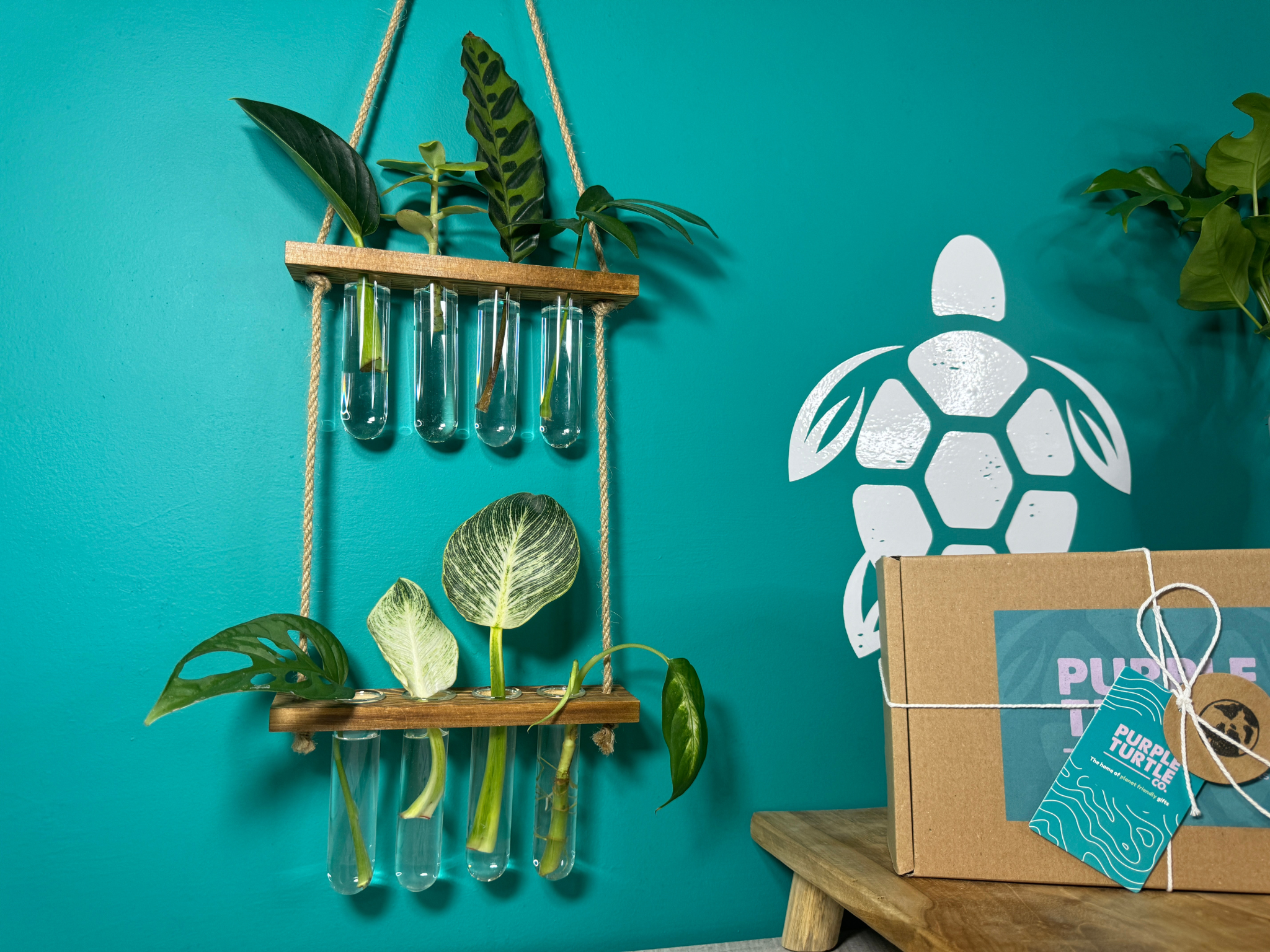 Plant Propagation Gift Set #4